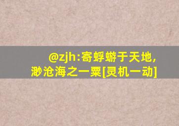 @zjh:寄蜉蝣于天地,渺沧海之一粟[灵机一动]